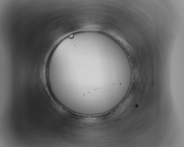 X0000102001470200807251236