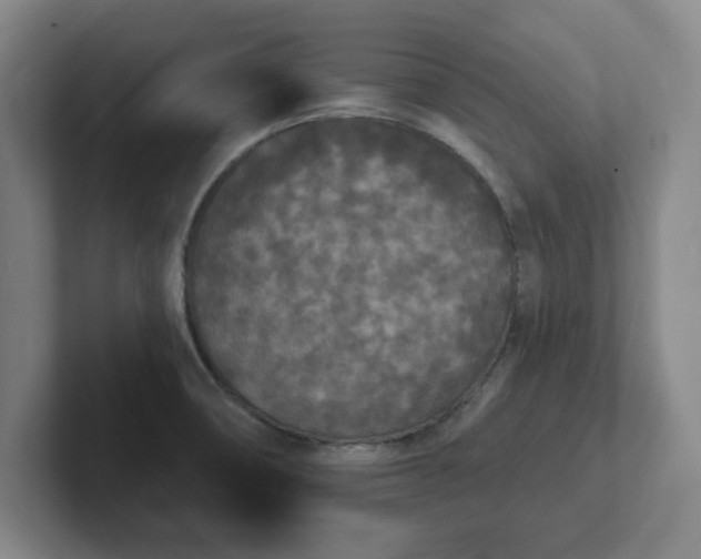 X0000102001474200807251236