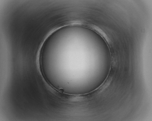 X0000102001475200807251236