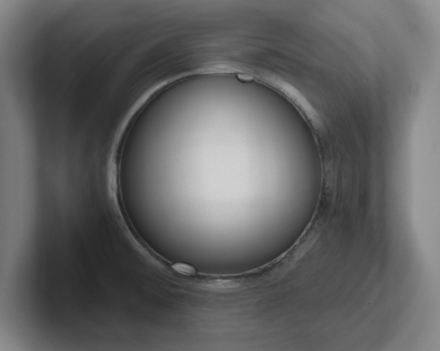 X0000102001476200807251236