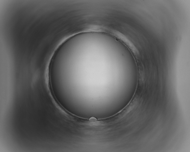 X0000102001479200807251236