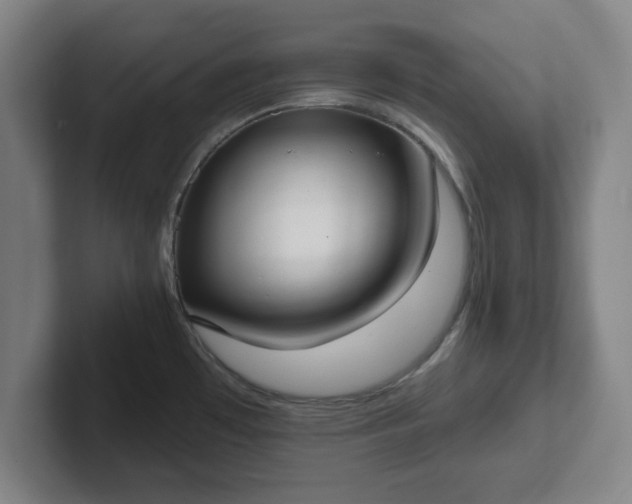 X0000102001481200807251236