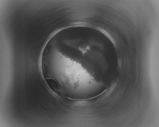 X0000102001482200807251236