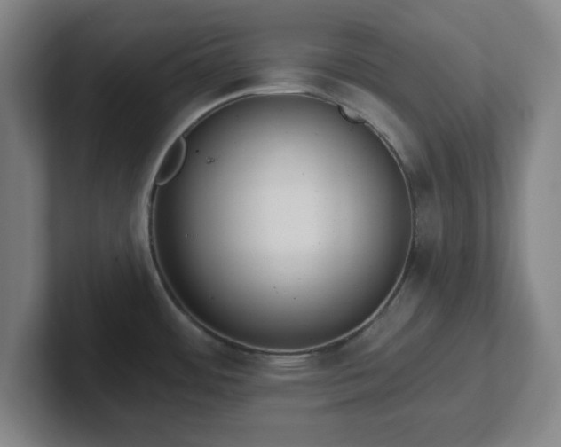 X0000102001484200807251236