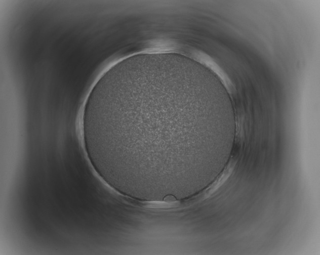 X0000102001487200807251236