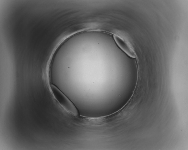 X0000102001488200807251236