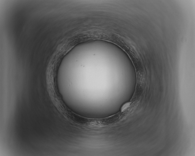 X0000102001489200807251235