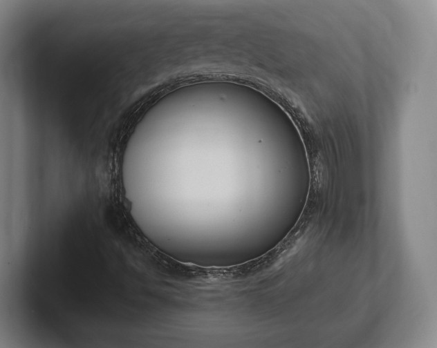 X0000102001494200807251235