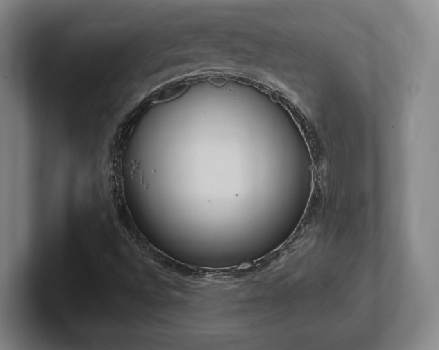 X0000102001496200807251235