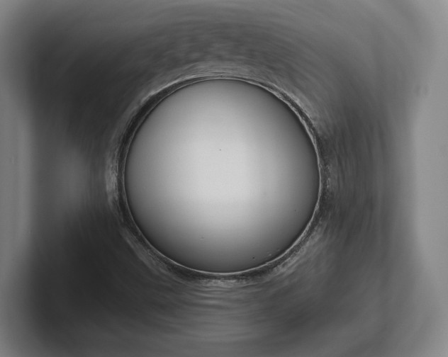 X0000102001499200807251235