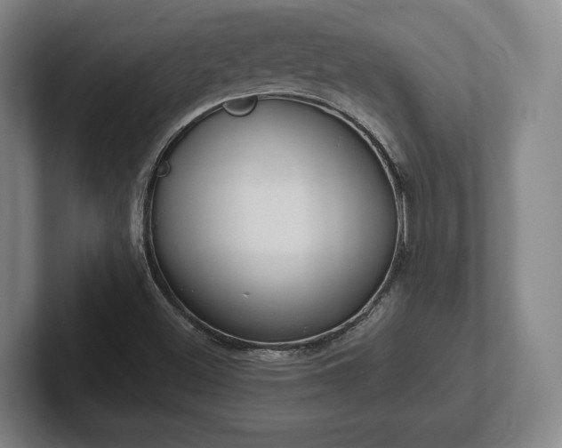 X0000102001500200807251235