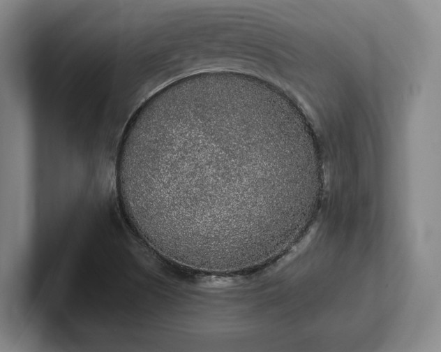 X0000102001505200807251235