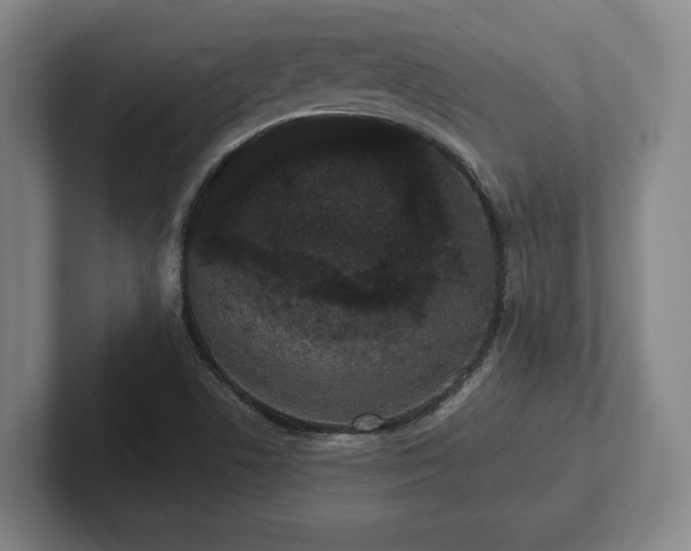 X0000102001506200807251235