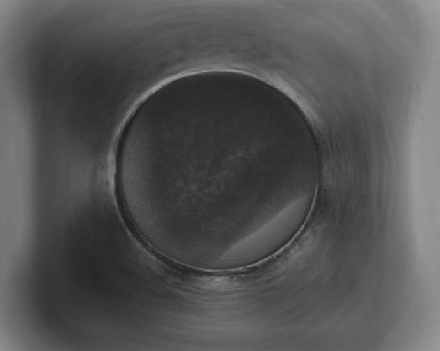 X0000102001508200807251235