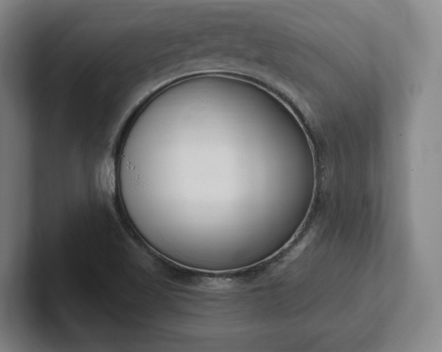 X0000102001509200807251235