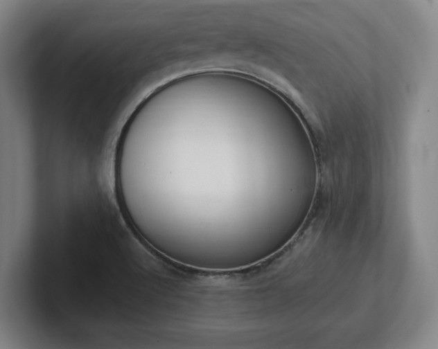 X0000102001512200807251236