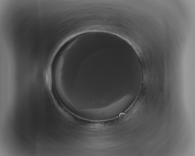 X0000102001515200807251236