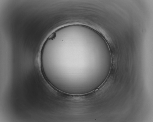 X0000102001516200807251236