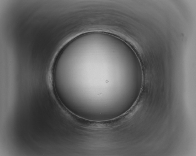 X0000102001517200807251236