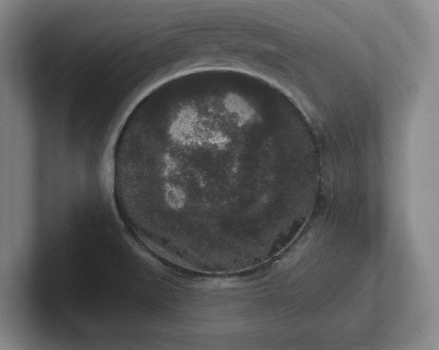 X0000102001519200807251236