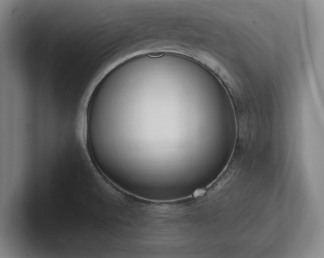 X0000102001520200807251236