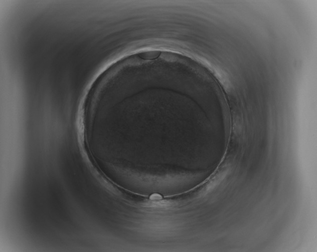 X0000102001522200807251236