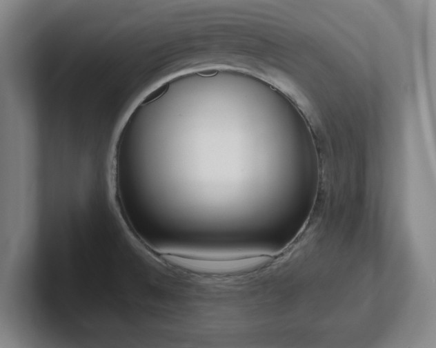 X0000102001524200807251236