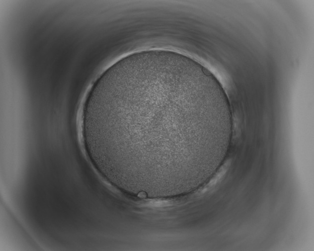 X0000102001525200807251236