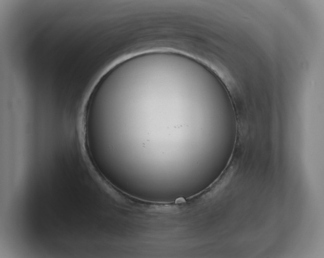 X0000102001526200807251236