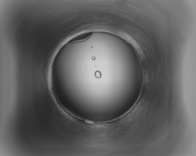 X0000102001528200807251236