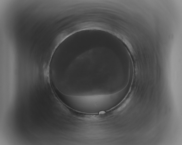 X0000102001529200807251236