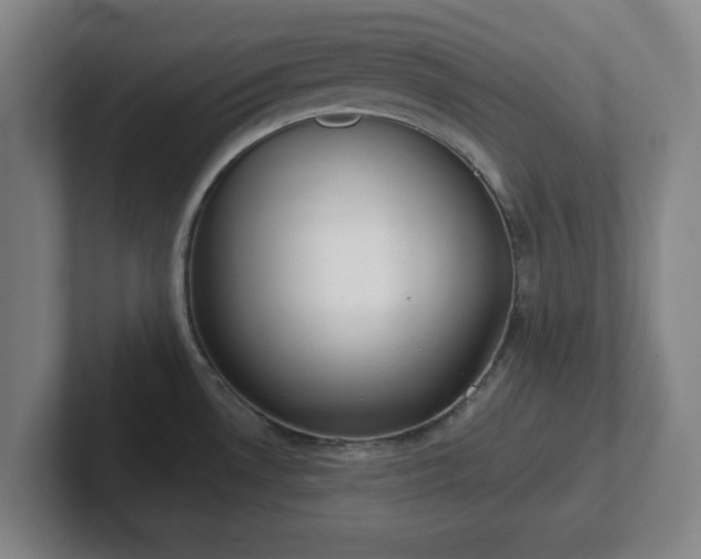 X0000102001530200807251236