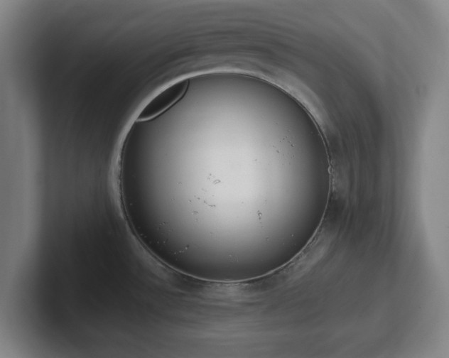 X0000102001532200807251236