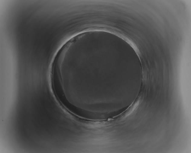 X0000102001533200807251236