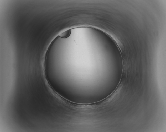 X0000102001534200807251236