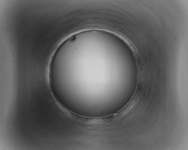 X0000102001535200807251236