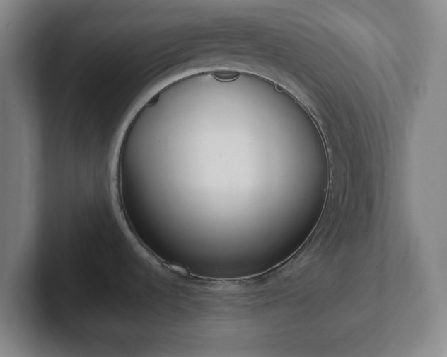 X0000102001536200807251236