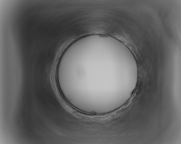 X0000102000001200808011131