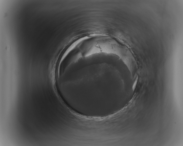 X0000102000002200808011131