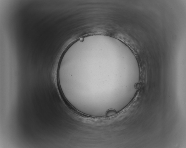 X0000102000003200808011131