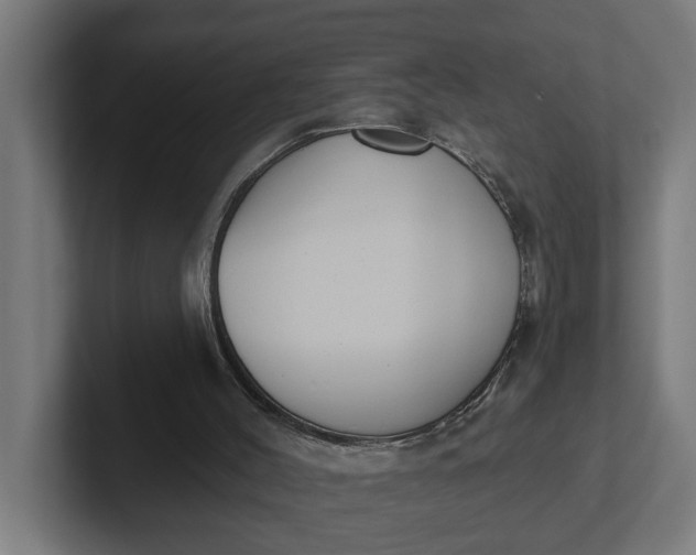 X0000102000004200808011131