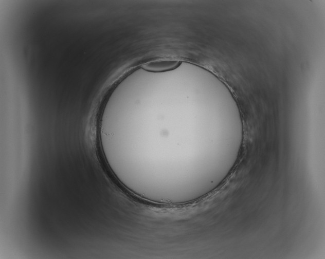 X0000102000005200808011131