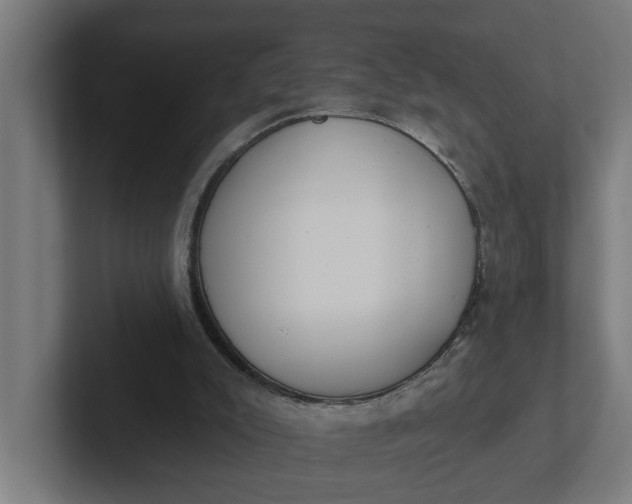 X0000102000007200808011131