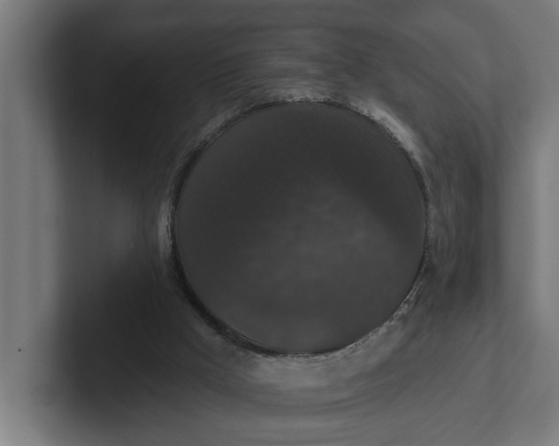 X0000102000009200808011131