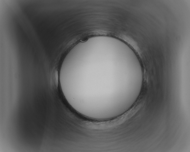 X0000102000013200808011131