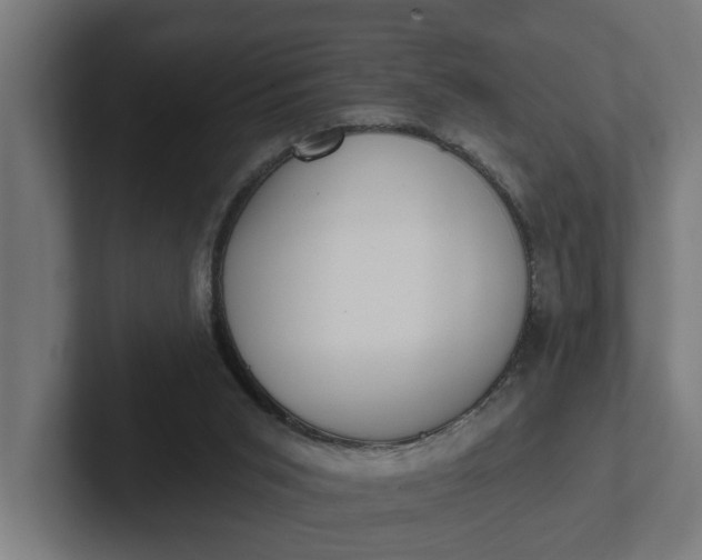 X0000102000015200808011131