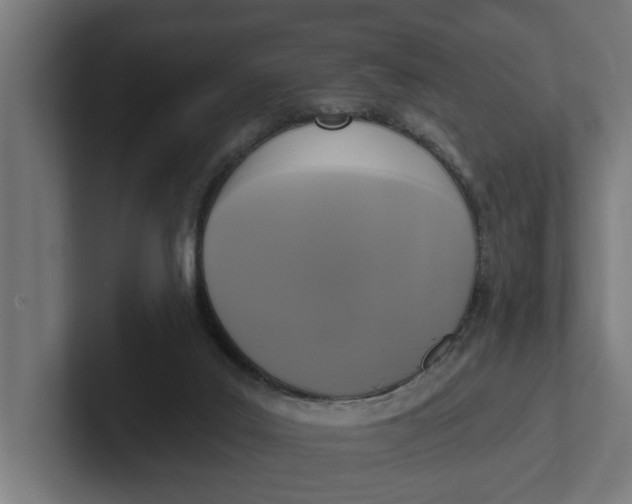 X0000102000019200808011131