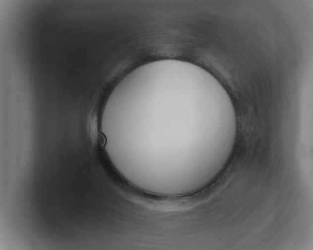 X0000102000020200808011131