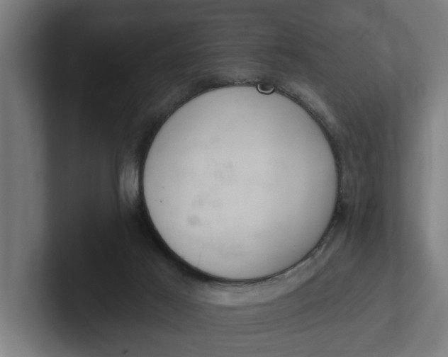 X0000102000021200808011131