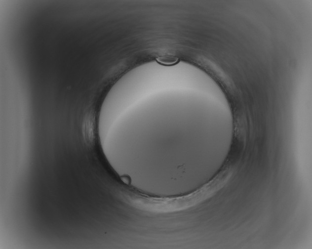 X0000102000023200808011131